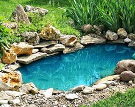 Quelques conseils pour garder votre bassin de jardin propre et clair.
